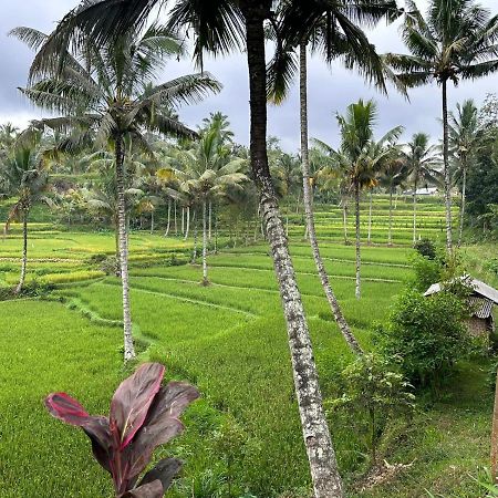 Mysha Guest House-Lombok Tetebatu Eksteriør bilde