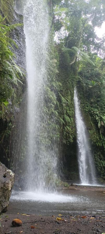 Mysha Guest House-Lombok Tetebatu Eksteriør bilde