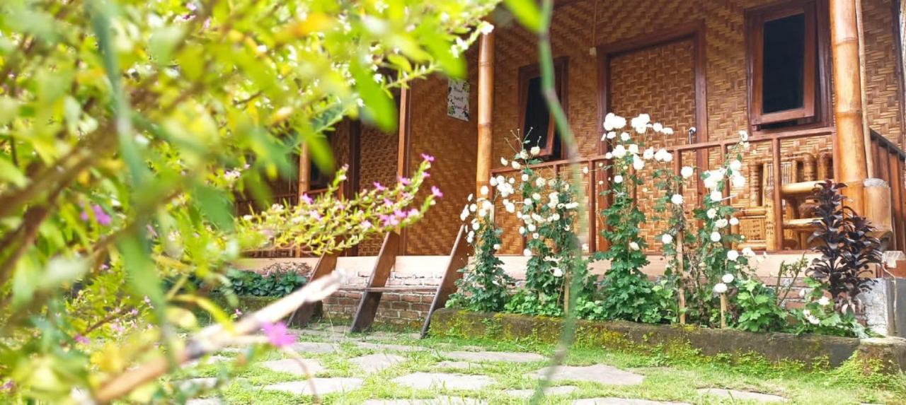 Mysha Guest House-Lombok Tetebatu Eksteriør bilde