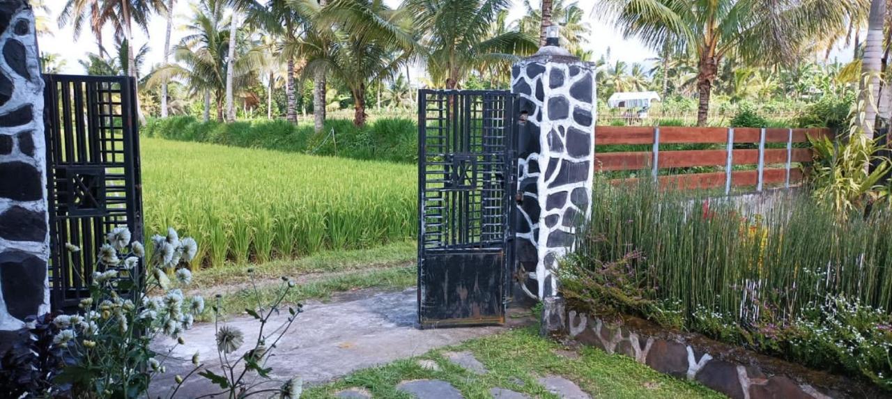 Mysha Guest House-Lombok Tetebatu Eksteriør bilde
