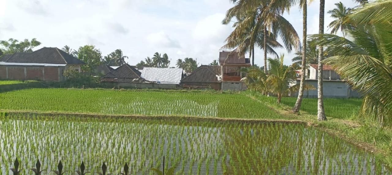 Mysha Guest House-Lombok Tetebatu Eksteriør bilde