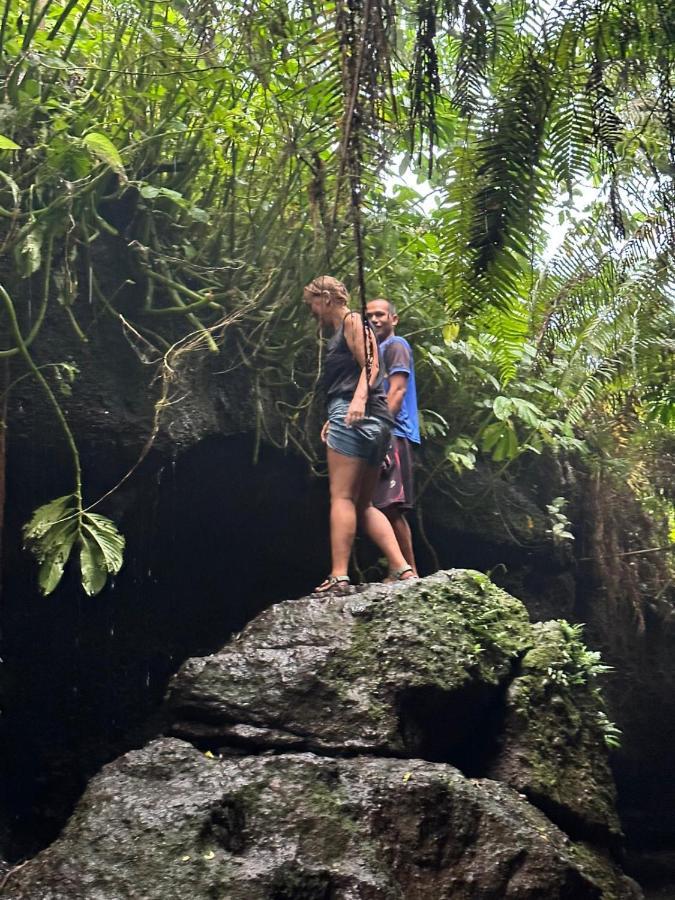 Mysha Guest House-Lombok Tetebatu Eksteriør bilde
