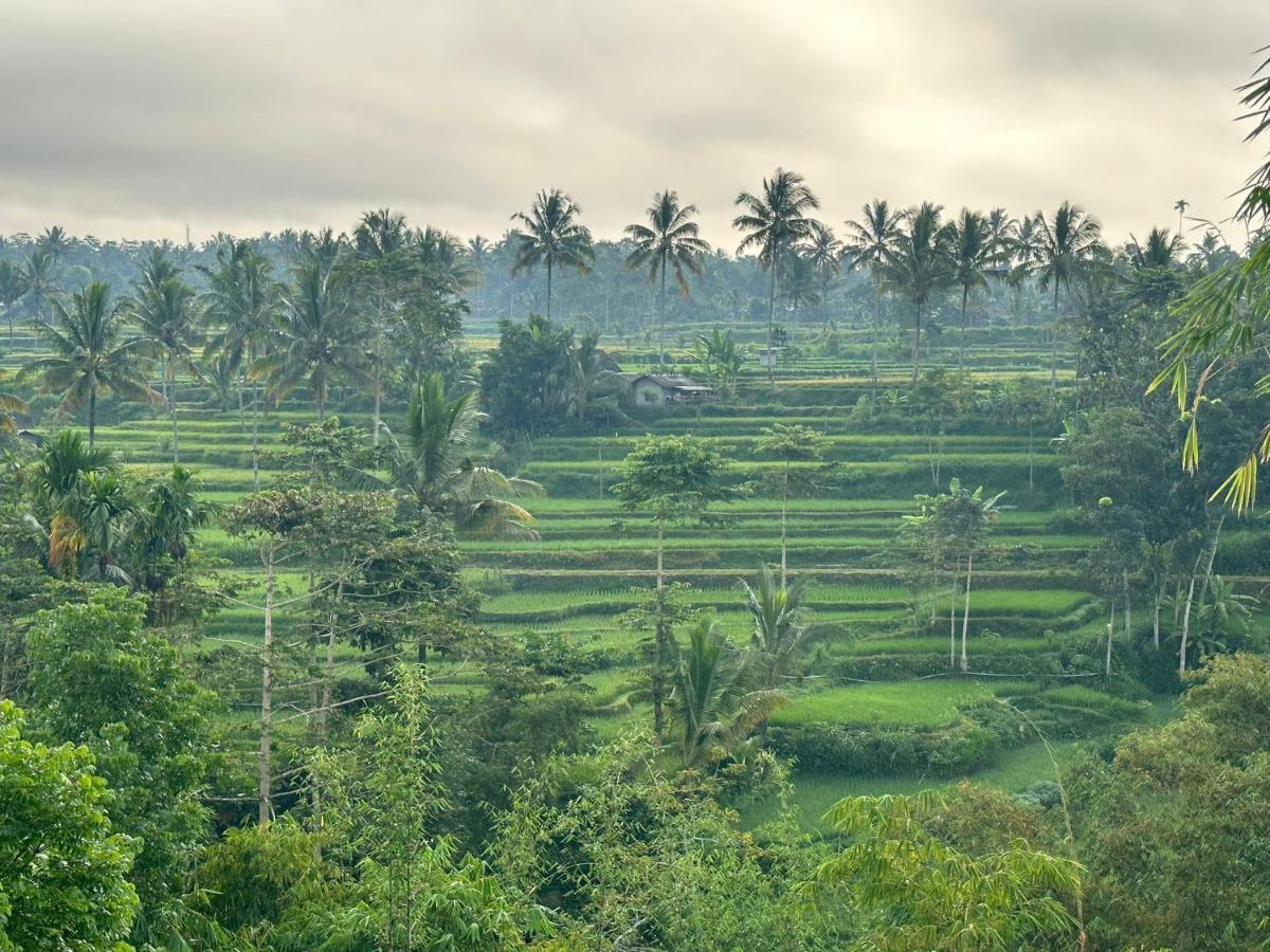 Mysha Guest House-Lombok Tetebatu Eksteriør bilde